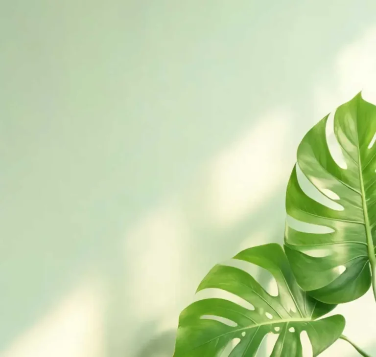企业管理中股权决策权的平衡艺术